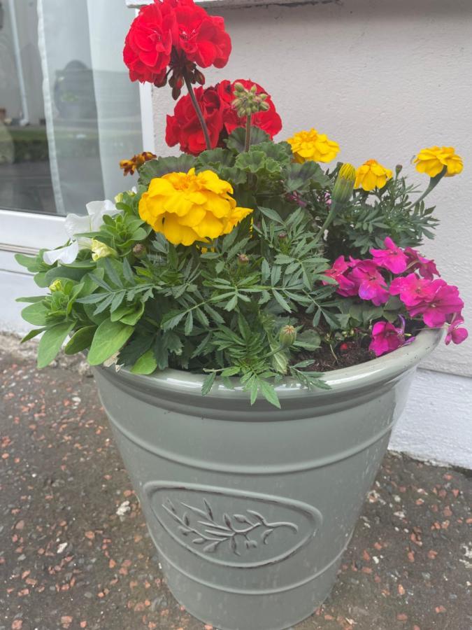 Unique Belfast Stay المظهر الخارجي الصورة